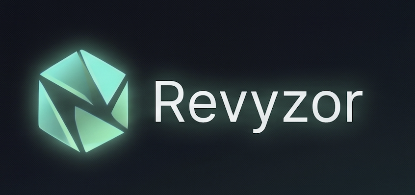 Revyzor